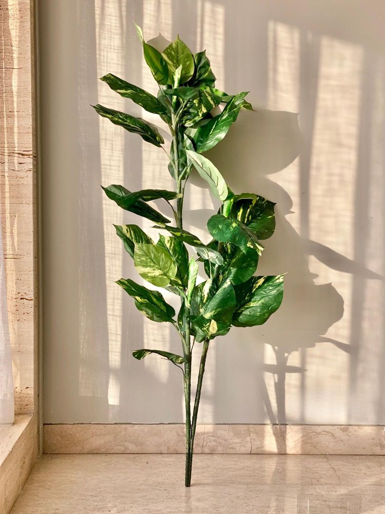 Mason Home Artificial Variegated Pothos Plant - 5 Feet (Without Pot)-picture-29