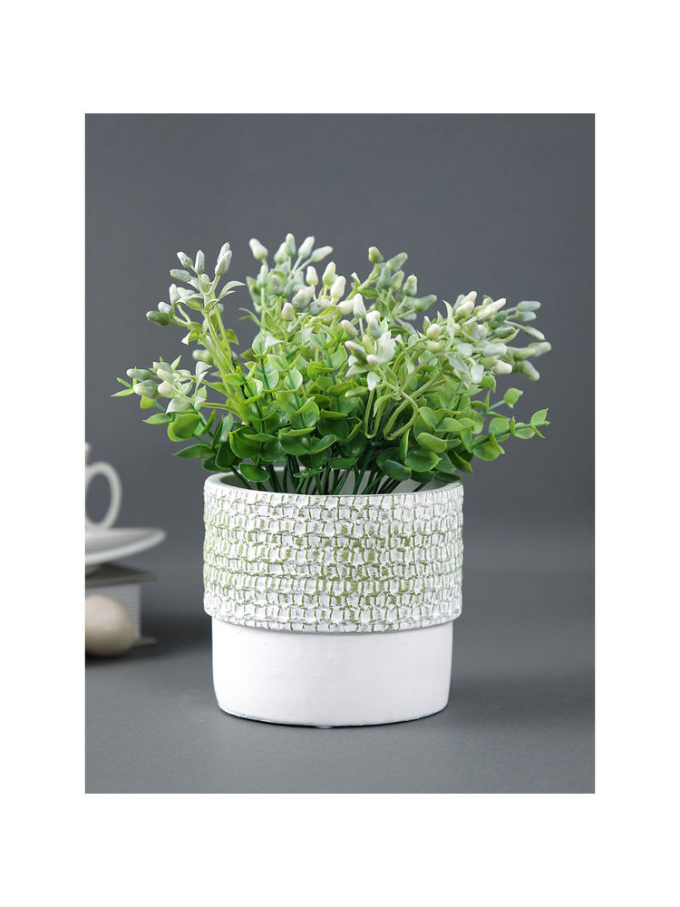 Tayhaa White Planter with Green Textured Effect-image-19