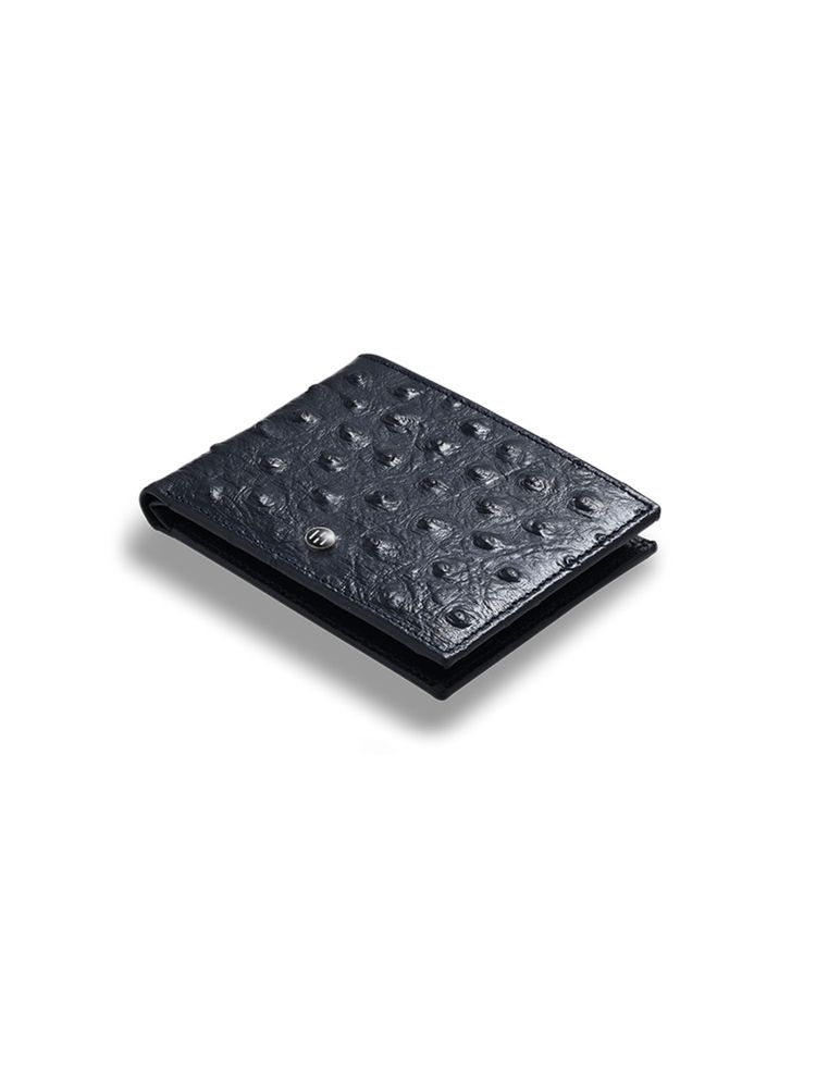 HALDEN Men Navy Blue Leather Textured Wallet-picture-13