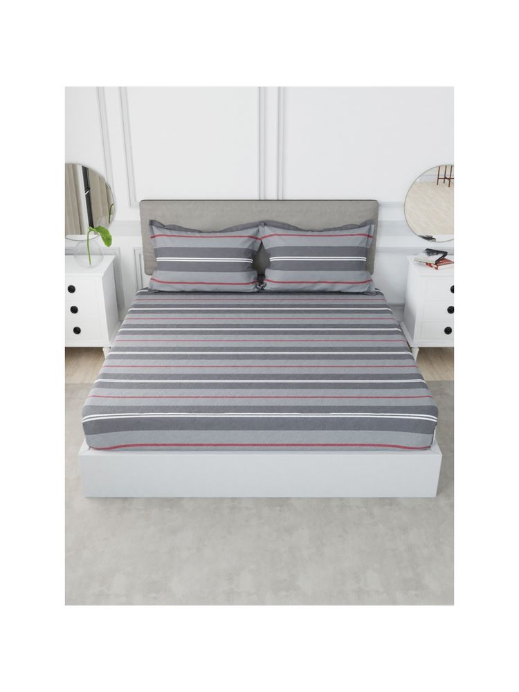 Nautica Cotton Xl King Bedsheet with 2 Pillow Covers -3Pc Set Stripe-Grey & Maroon-image-21