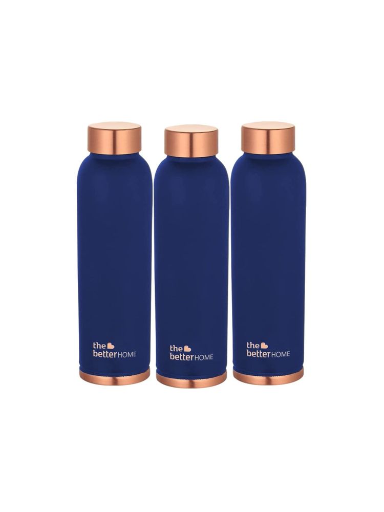 The Better Home Copper Bottle 950 ml Blue Pack of 3-picture-12