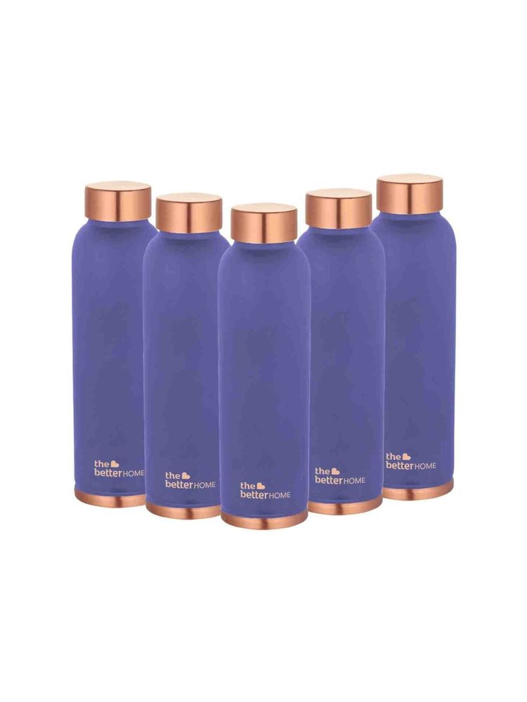 The Better Home Copper Bottle 950 ml Purple Pack of 5-image-21