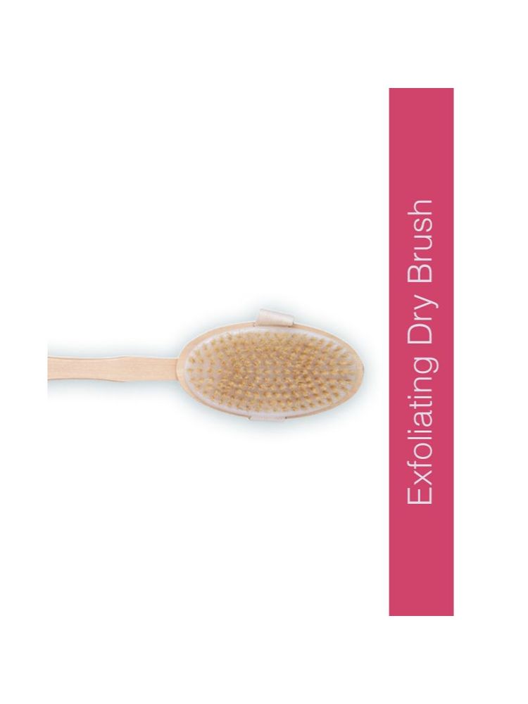 Global Beauty Secrets Dry Brush With 14 Inch Removable Wood Handle-picture-18