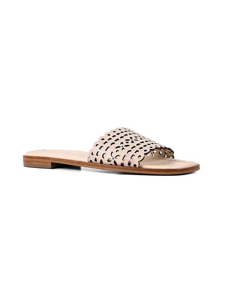 Vanilla Moon Women Ceam Gray Flats-picture-14