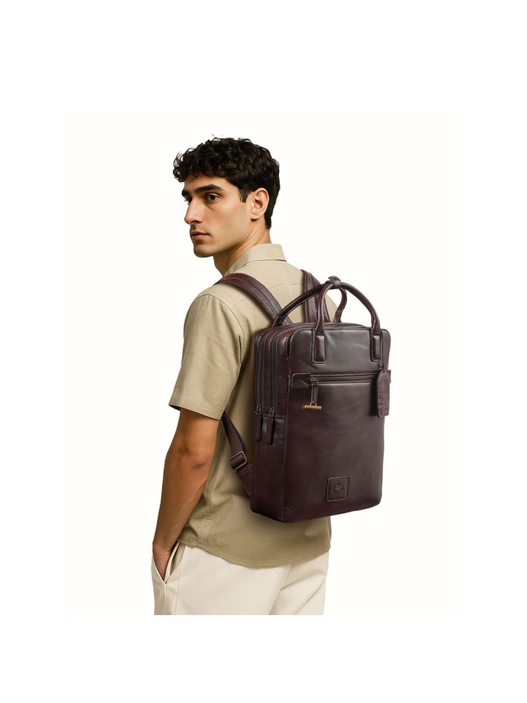 Hidesign Genuine Leather Mens Backpack - Dark Brown-picture-14