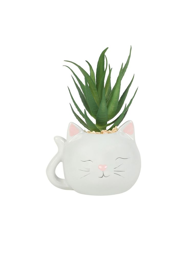 Chumbak Blushing Cat Planter