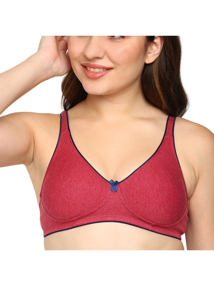 BLOSSOM Seamless Medium Coverage T-Shirt Bra with Wide Fabric Straps Maroon-picture-28