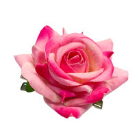 Kayanara Real Look Dual Shade Pink Rose Shape Alligator Hair Pin For Women-picture-13