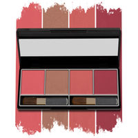 Miss Claire Mineral Blusher Kit - 3716-4-2