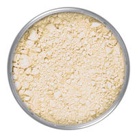 Kryolan Translucent Powder