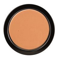 Paese Cosmetics Illuminating & Covering Pressed Powder