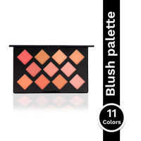 PAC Take Cover Blusher X11 - Micro Fine Pigments, Blends Effortlessly, 8 Matte & 3 Shimmer Shades