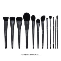 Daily Life Forever52 Academic Brush Set With 1 Sponge