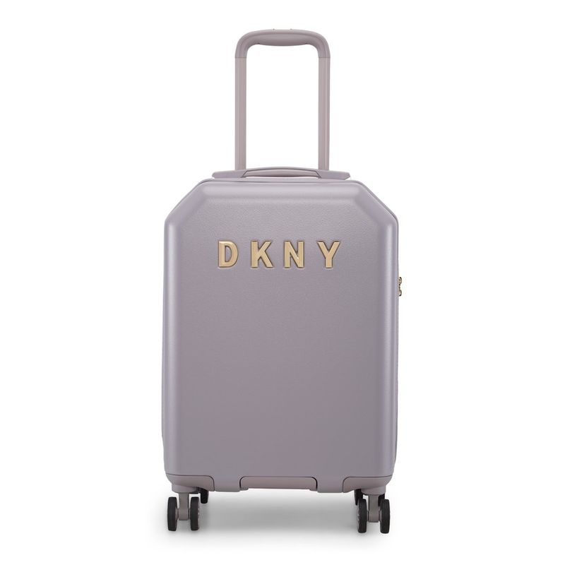 Buy DKNY Allure Smoking Grey Hot Colour Abs Hard Cabin 20 Luggage with Pouch Set of 2 Online