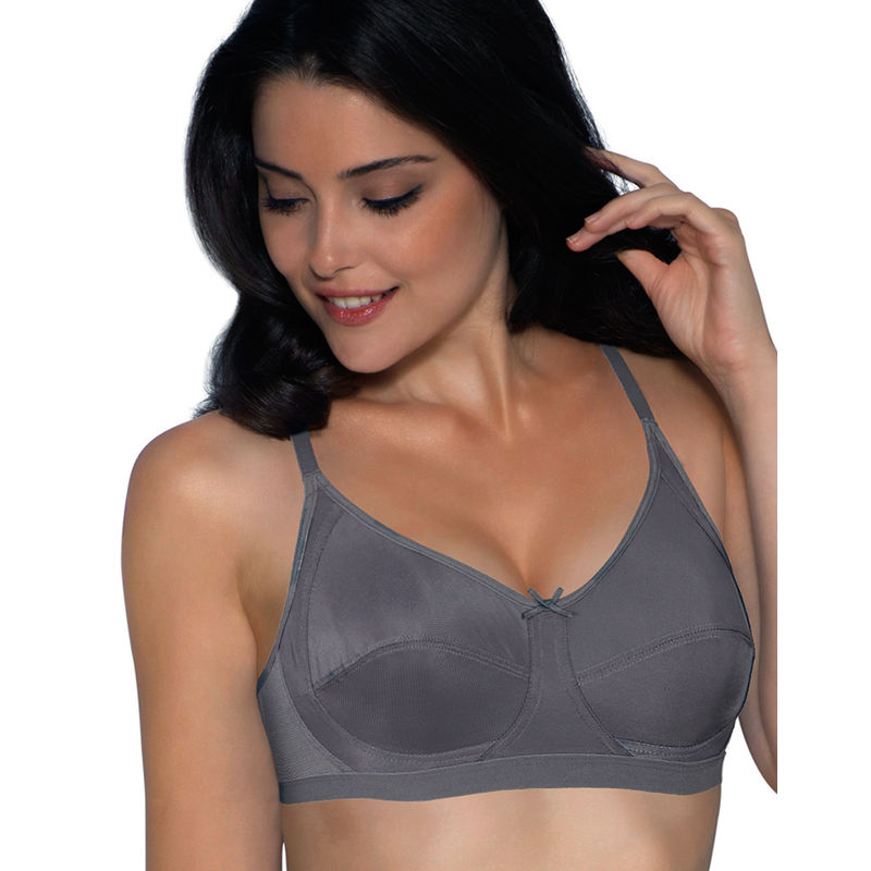 Amante Non-Padded Non-Wired Full Coverage T-Shirt Bra - Grey (34C)