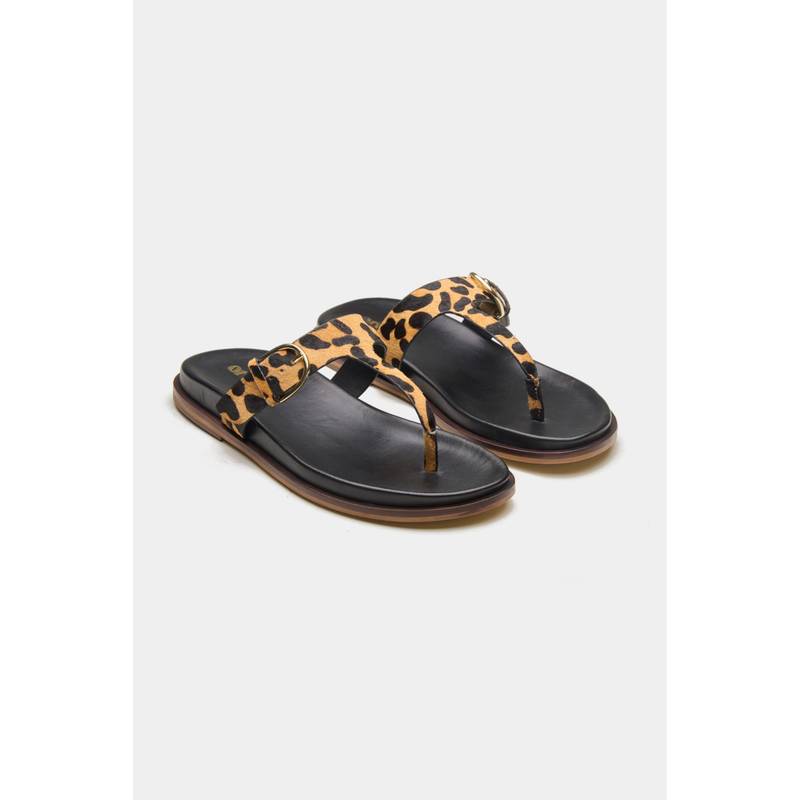 Oroh Women Multi-Color Metis Sandals (EURO 36)