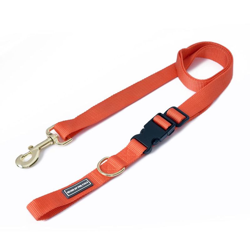 Heads Up For Tails Adjustable Nylon Dog Leash - Orange (Medium)