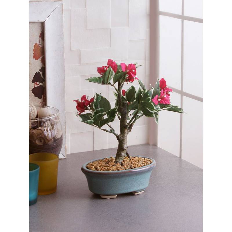 Fourwalls Artificial Bougainvillea Bonsai Plant in a Ceramic Pot Buy