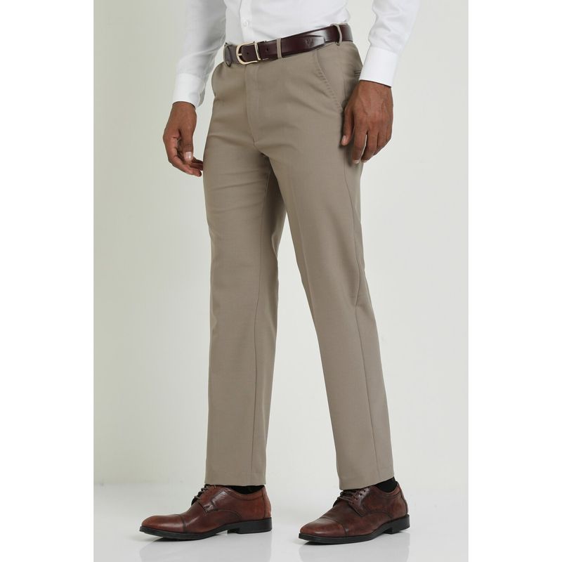 Allen Solly Men Beige Regular Fit Textured Formal Trousers (34)