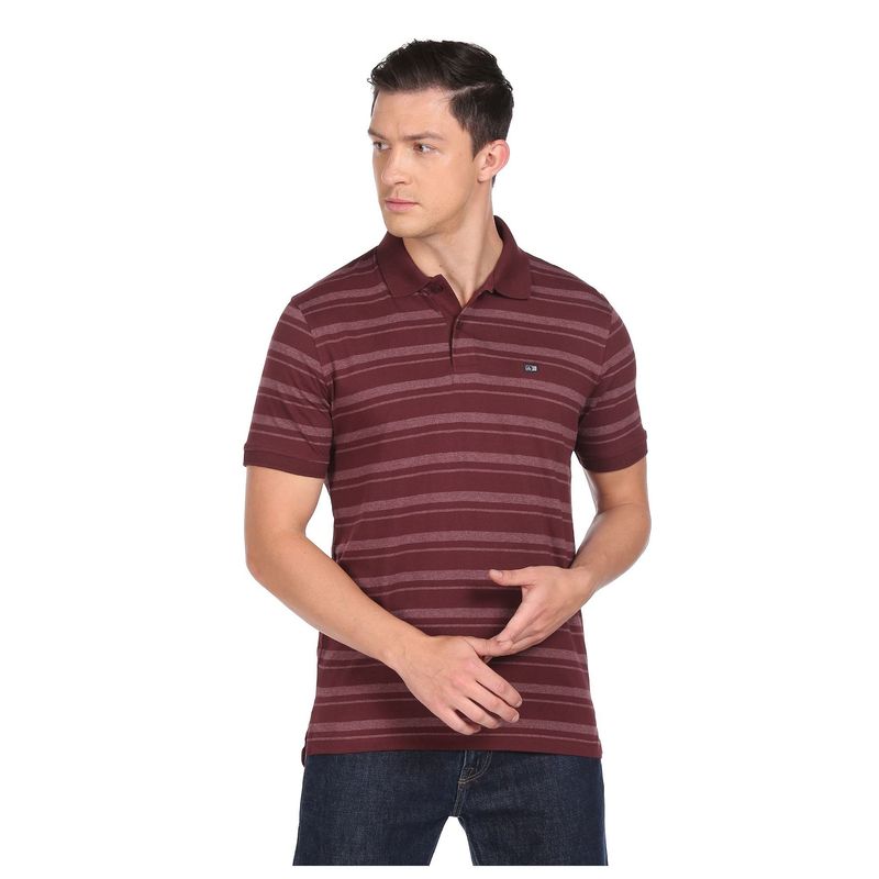 Arrow Sports Men Burgundy Ribbed Collar Striped Polo T-Shirt (M)