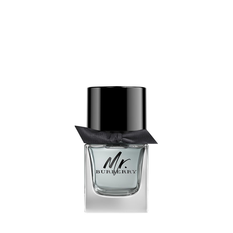 Buy Burberry Mr. Burberry Eau De Toilette Online