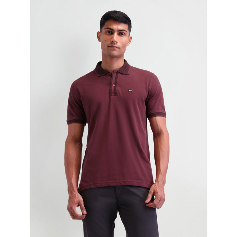 Arrow Sports Men Solid Maroon Half Sleeves Collar Neck Polo T-Shirt (L)