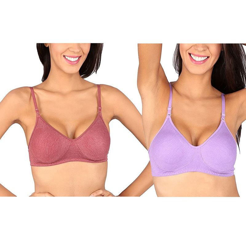 Bralux Bela T-Shirt Bra Melange Maroon - Melange Lavender Set Of 2 (30B)