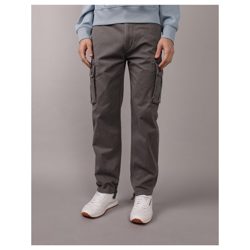 American Eagle Men Grey Flex Lived-In Cargo Pant (34)