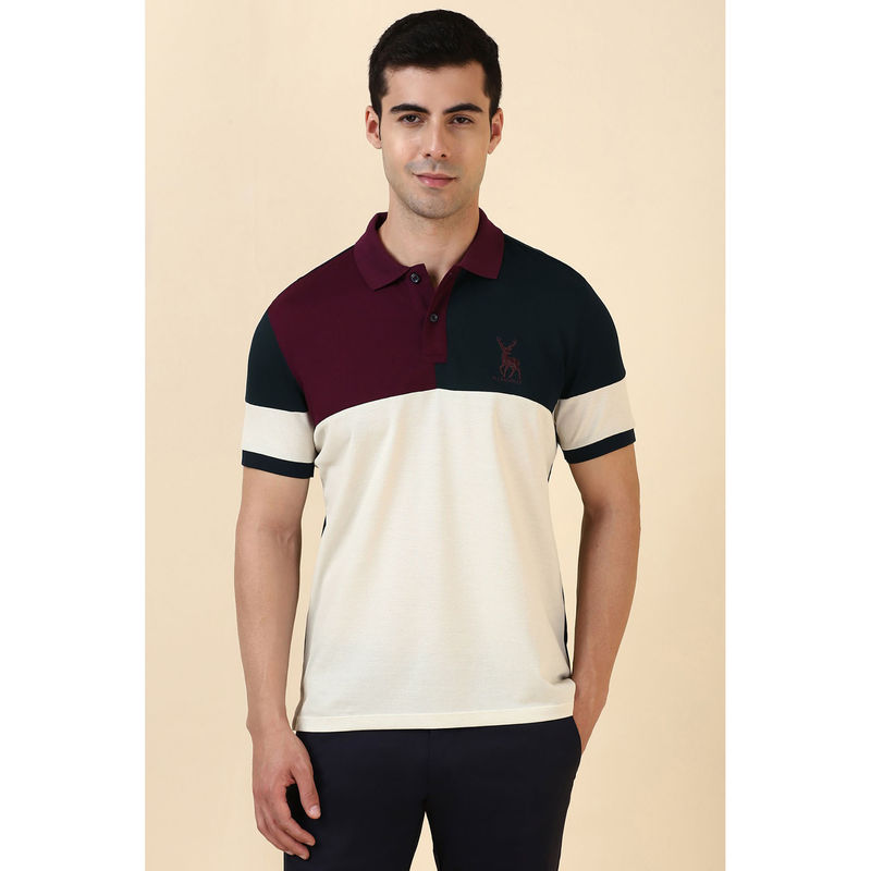 Allen Solly Navy Blue Colorblock Regular Fit Polo T-Shirt (M)