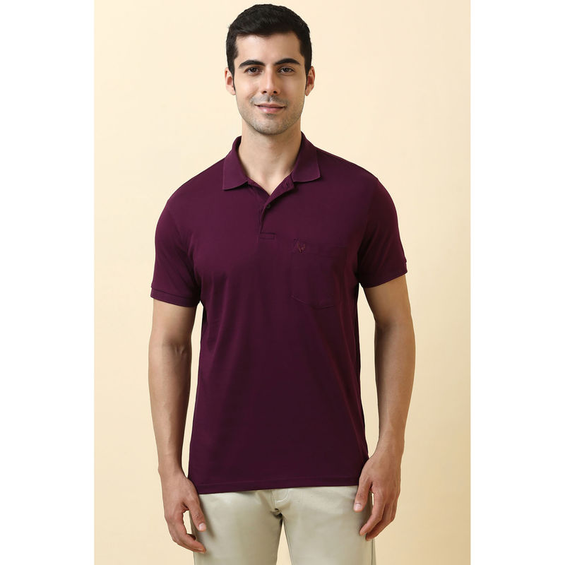 Allen Solly Purple Solid Regular Fit Polo T-Shirt (M)