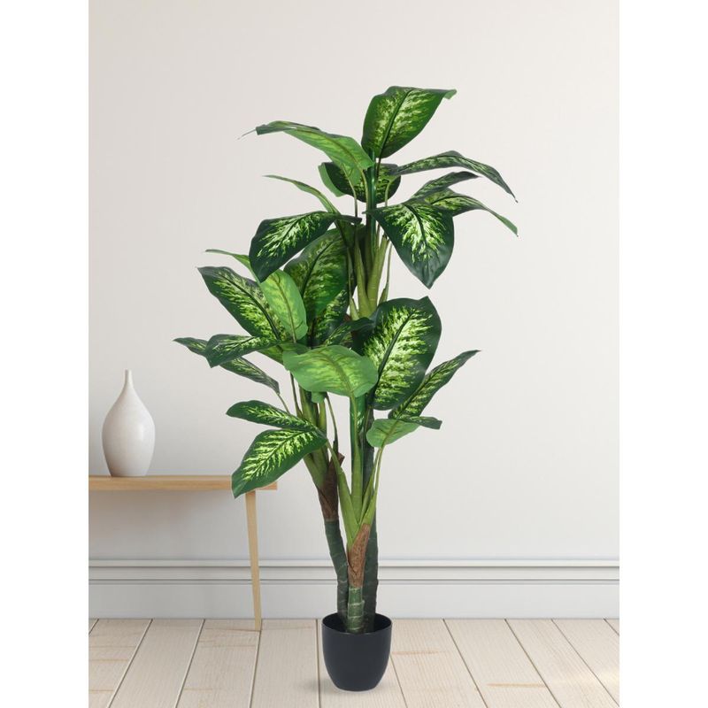 Buy Home Bloom Decoration Artificial Dieffenbachia Plants Online