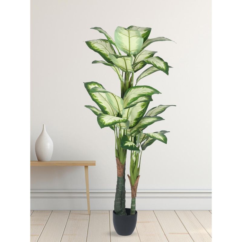 Buy Home Bloom Decoration Artificial Variegated Dieffenbachia Plants Online