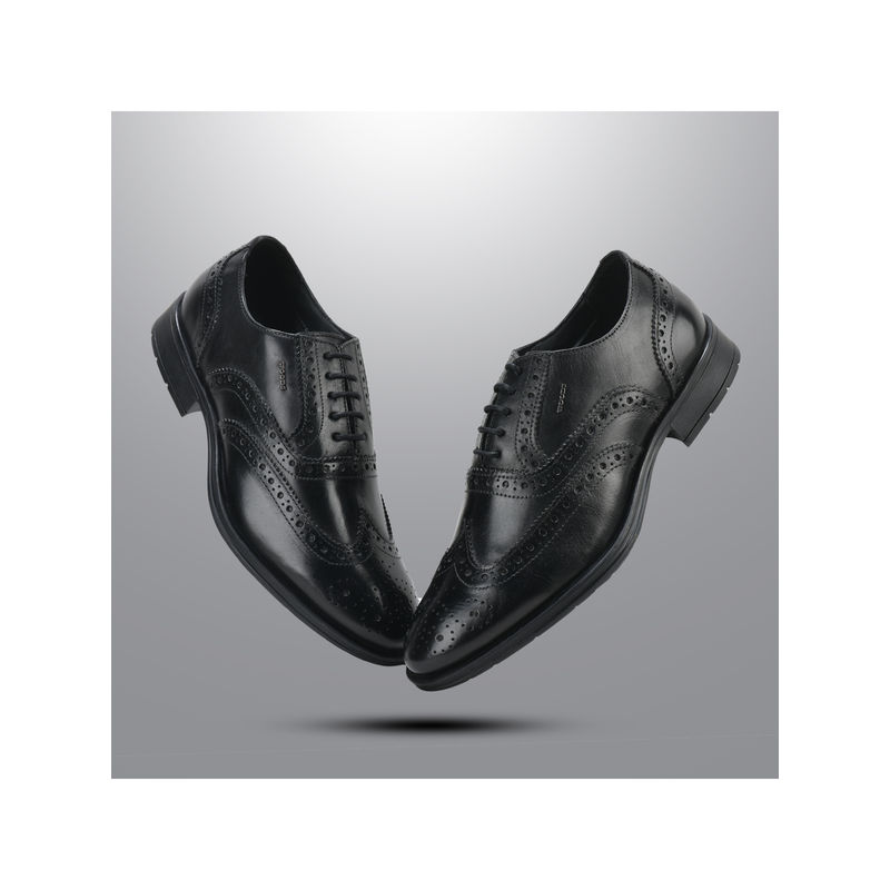 WOODLAND Men Black Formal Brogues (UK-9)