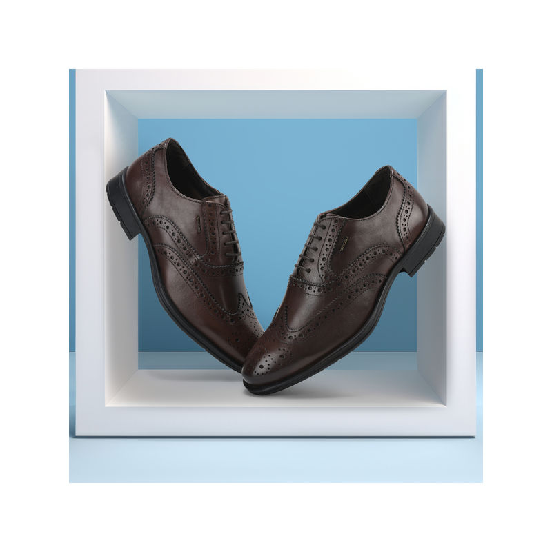 WOODLAND Men Brown Formal Brogues (UK-10)