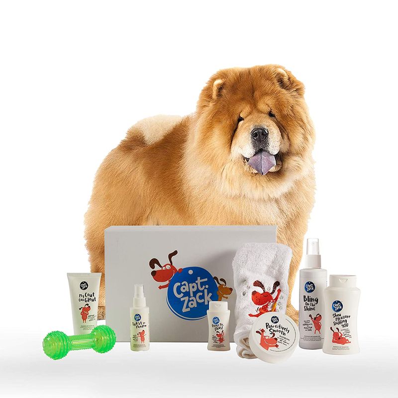 Chow chow top grooming tools