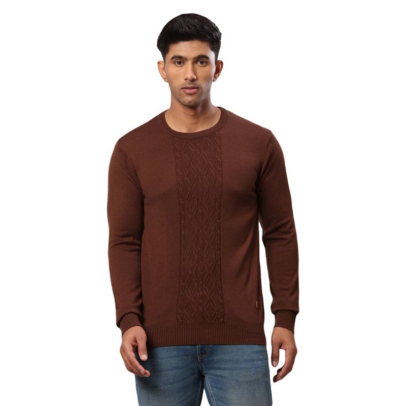Raymond Dark Brown Sweater (39)