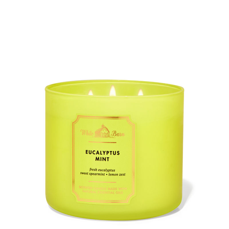 Eucalyptus candle best sale