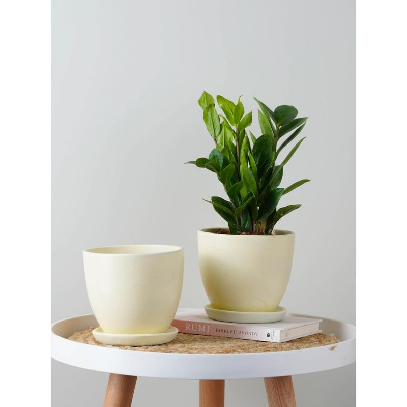 Buy Nurturing Green Set of 2 Ivory White Ceramic Pots Online