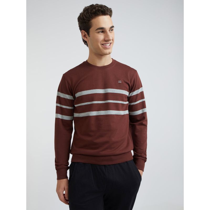 ColorPlus Dark Brown Sweatshirt (L)