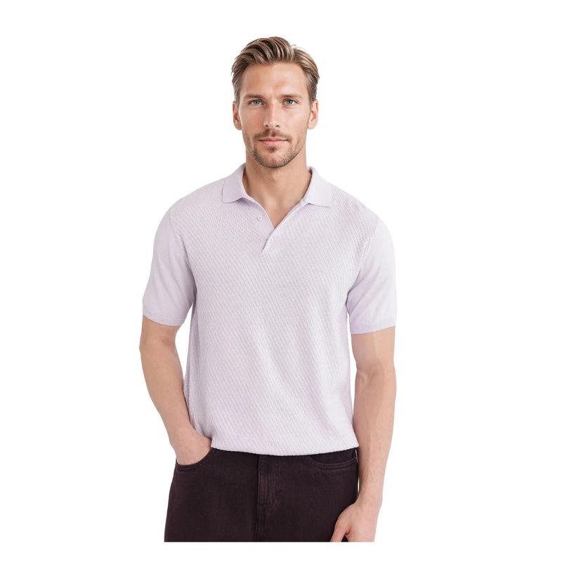 Rare Rabbit Xas Pastel Purple Textured Regular Fit Polo T-Shirt (XS)