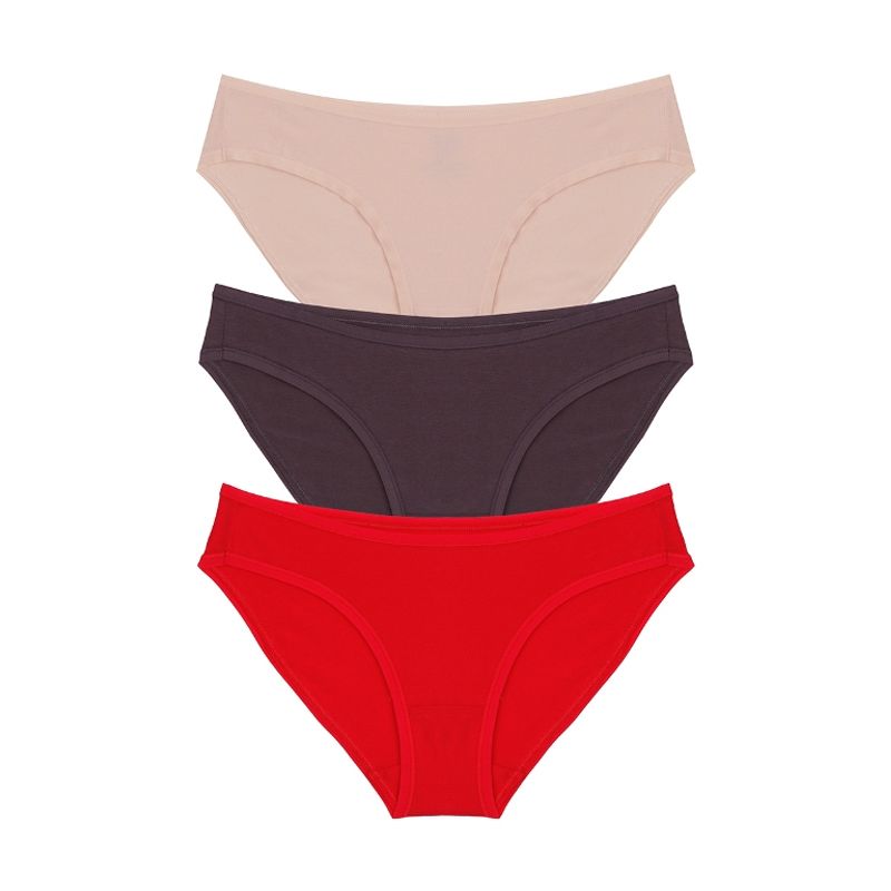 Buy Amante Bikini Panty Pack Of 3 MultiColor Online