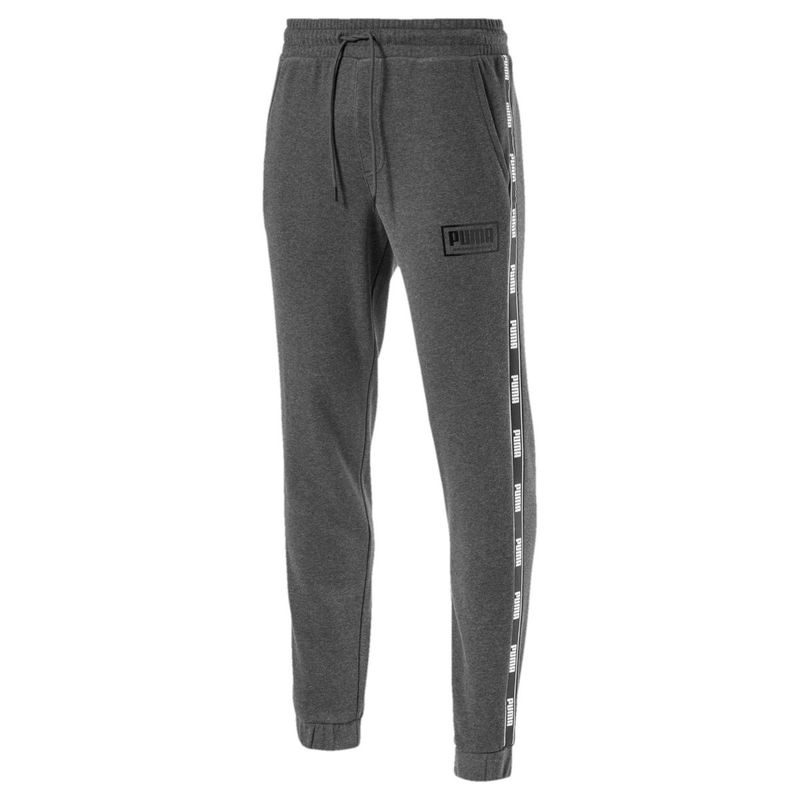 Buy Puma ESS Logo Pants TR cl Gray Track Pants - Grey Online