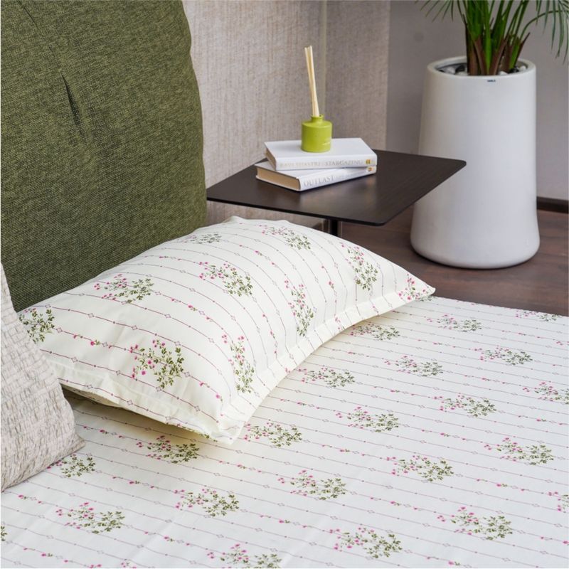 Urban Space Serene 200 Tc Cotton Bedsheets with Pillow Cover Pink (Queen)
