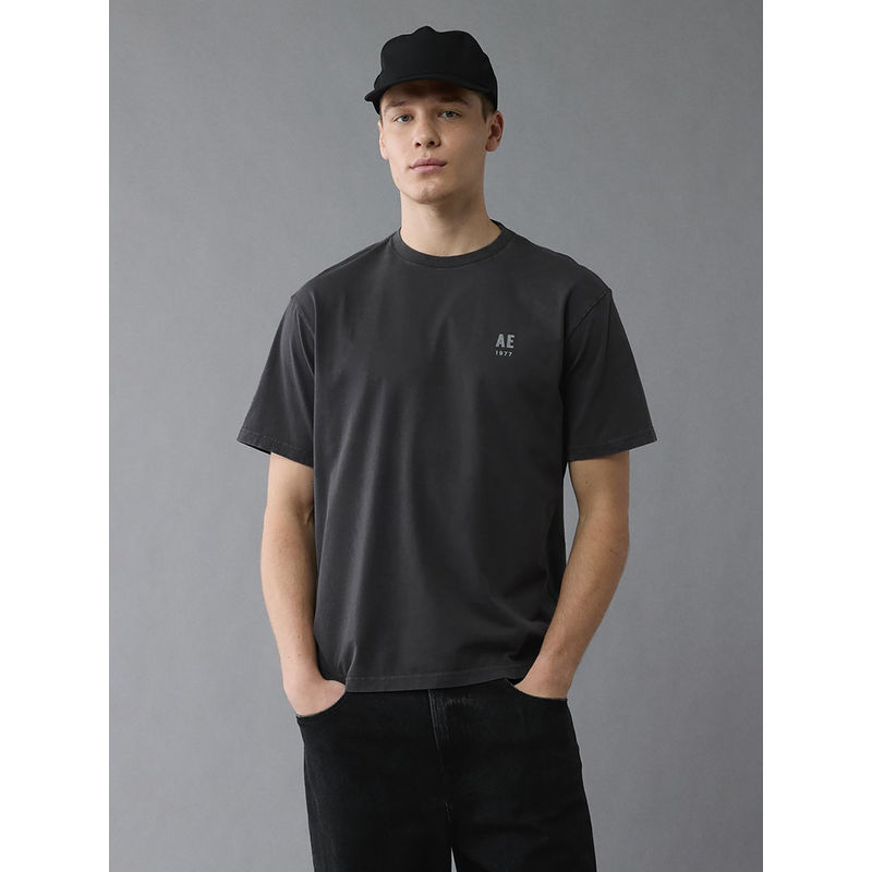 American Eagle Grey Printed Regular Fit T-Shirt (M)