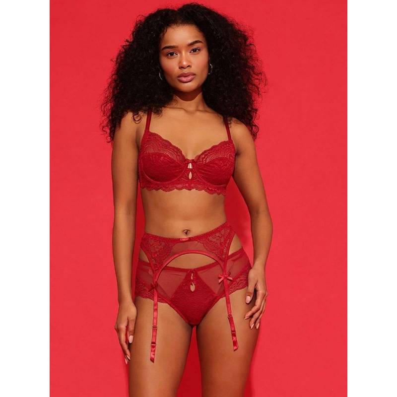 Chelvet Red Lace Garter Belt with Sheer Panels (M)