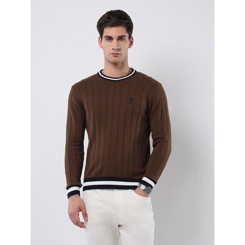 U.S. POLO ASSN. Men's Vertical Striped Patterned Knit Sweater (L)