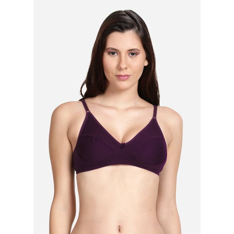 Shyaway Shyle Purple Non Padded Seamed Everyday Bra (32B)