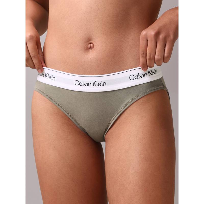 Calvin Klein Brown Solid Mid Rise Bikini-Brief (L)