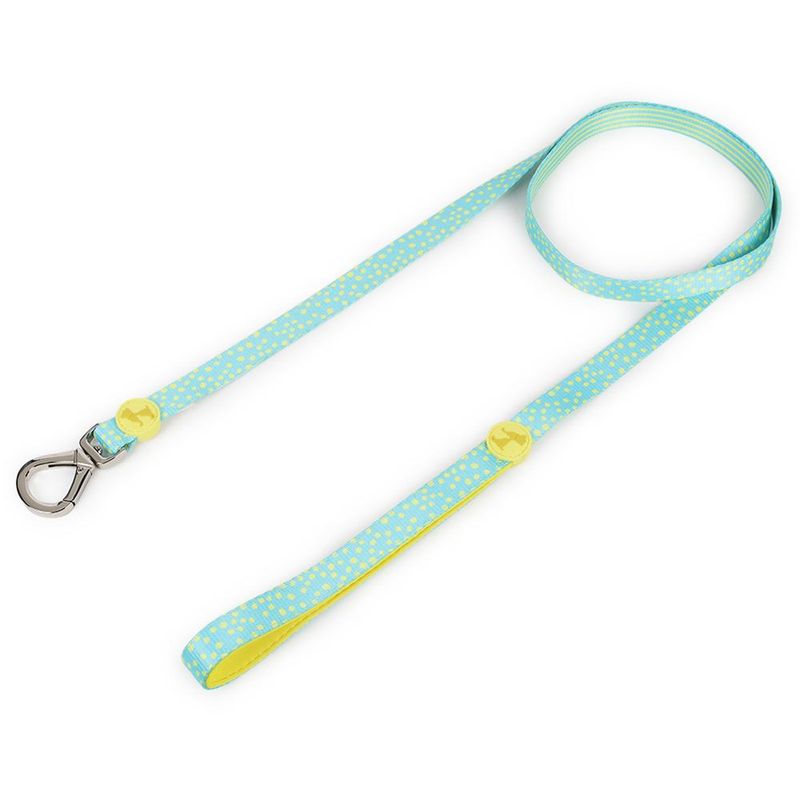 Heads Up For Tails Daisy Bell Dog Leash (Small)
