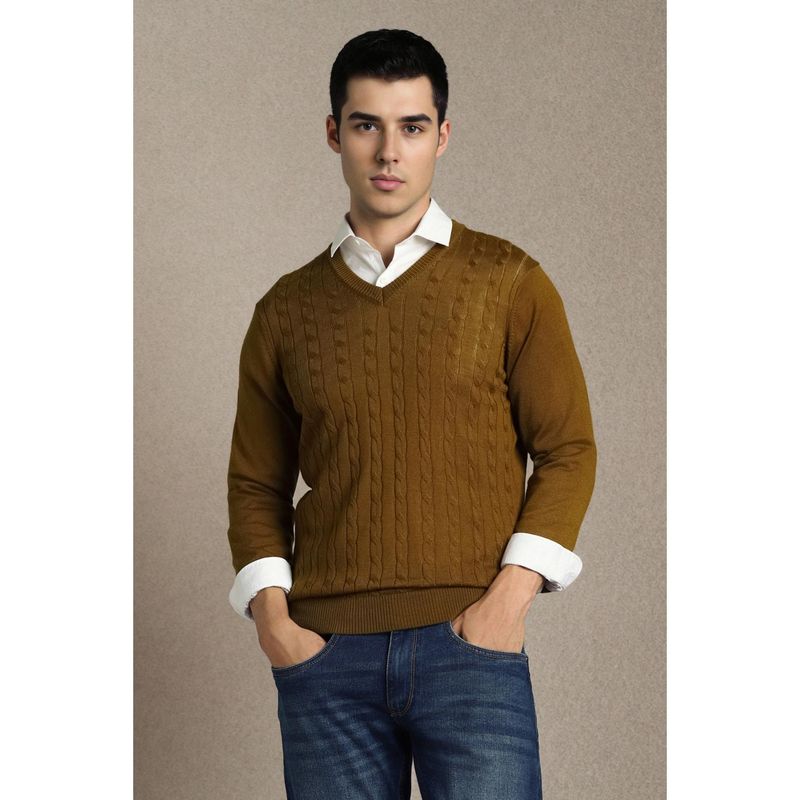 Louis Philippe Men Khaki Textured V Neck Full Sleeves Sweater (M)